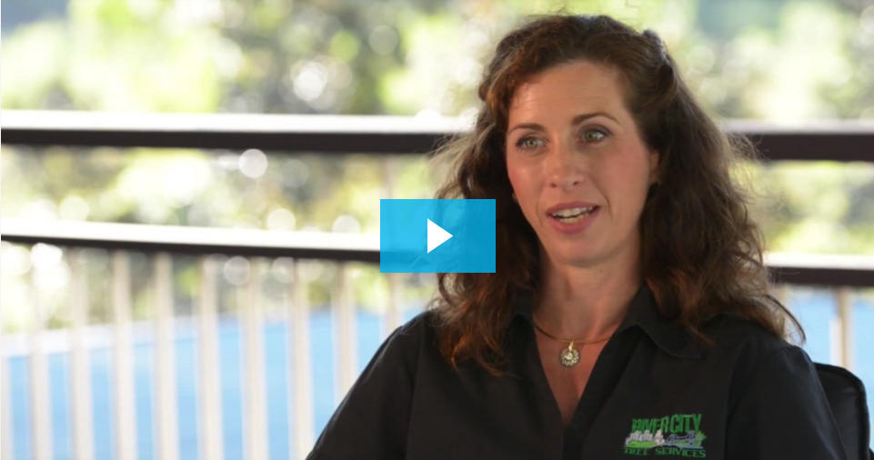 Ditching the Server and Going Paperless with G Suite and Chromebooks