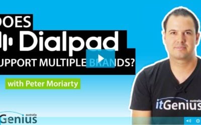 Does Dialpad Support Multibrand?