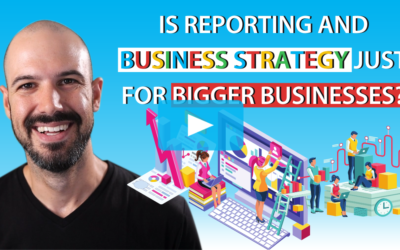 Is reporting and business strategy just for bigger businesses?